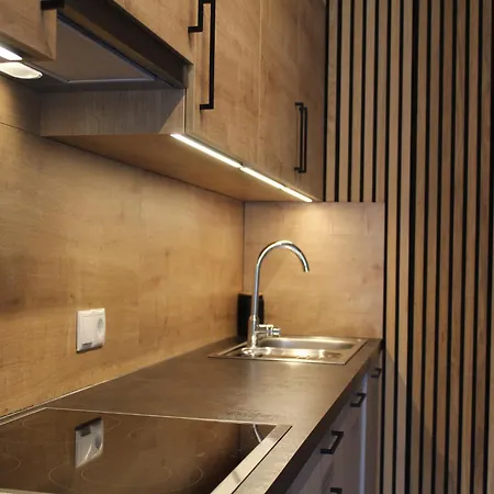Modern In The Tyrolean Mountains 弗利斯